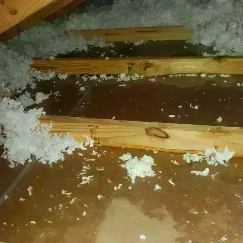 Attic Water Damage in Mullens, WV