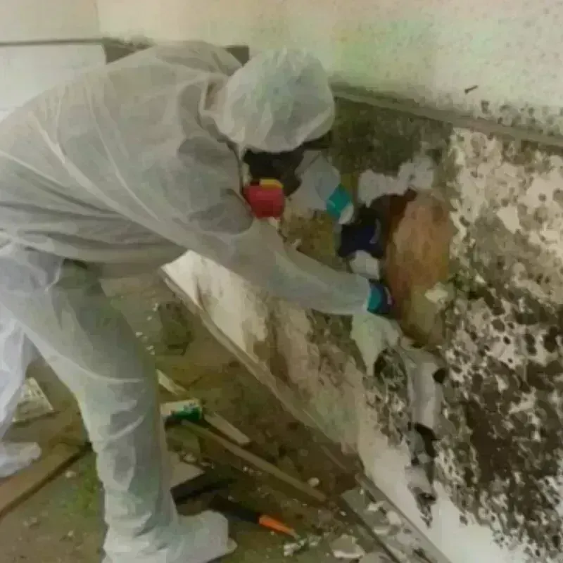 Best Mold Remediation and Removal Service in Mullens, WV